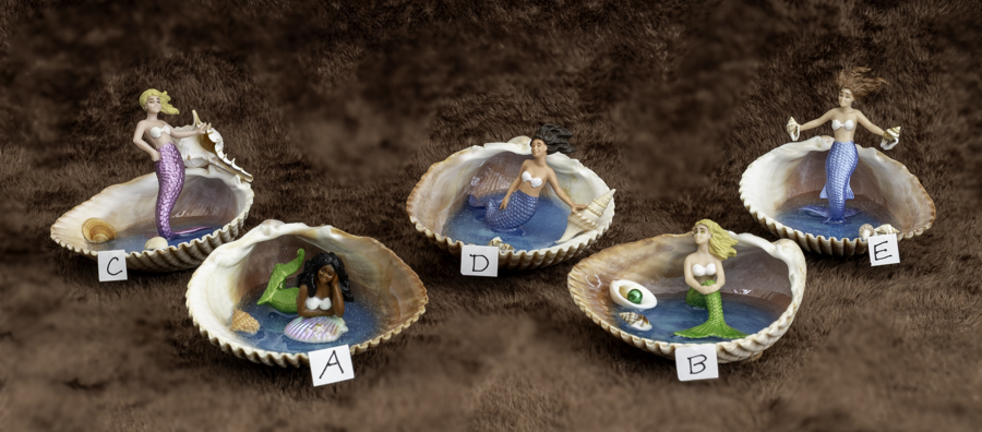 Mermaid Shell Tidepools