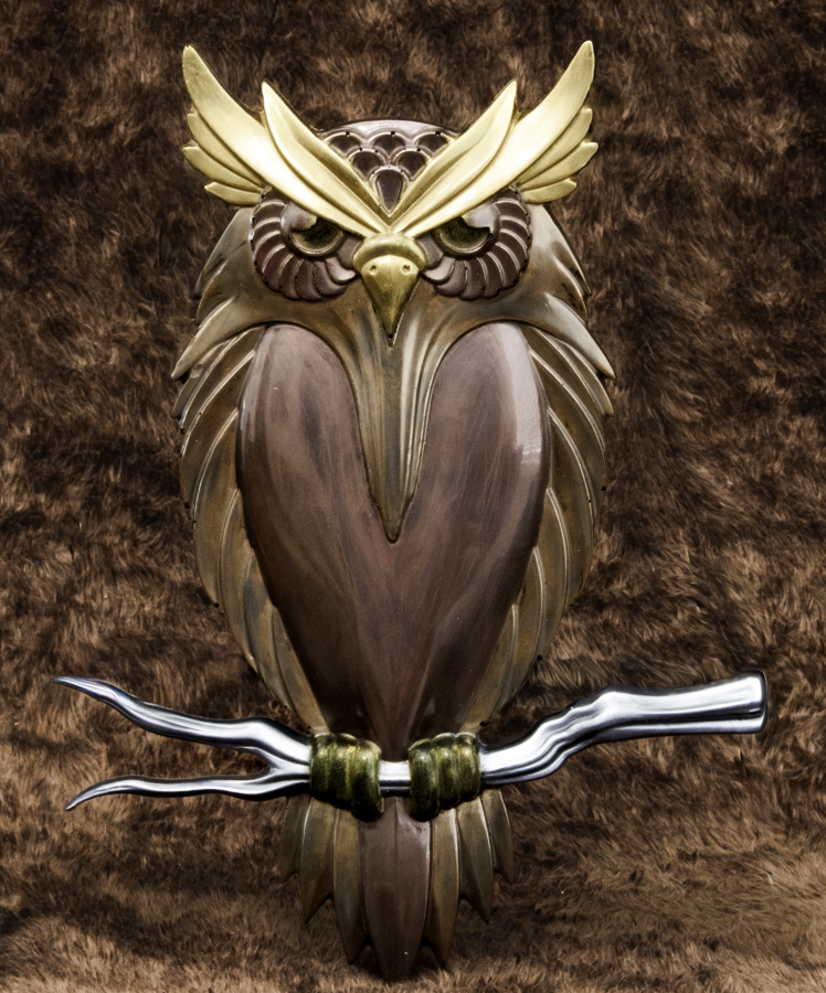 Wise Gaze Owl