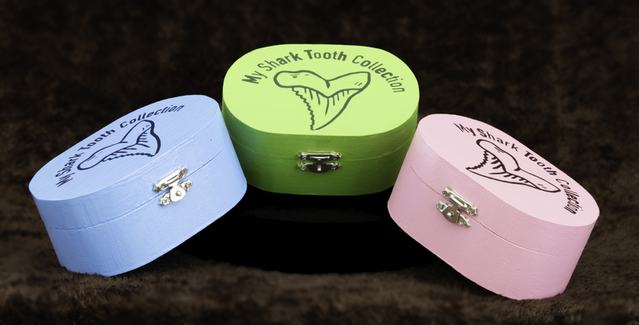 Shark Tooth Keepsake Box 