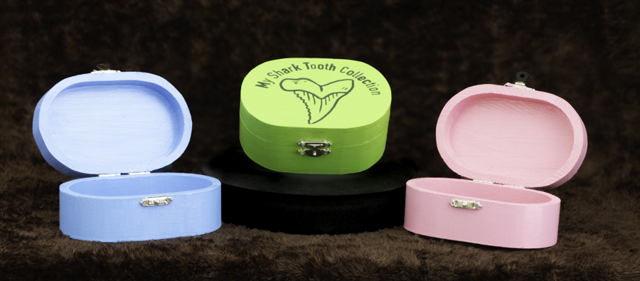 Shark Tooth Keepsake Box 