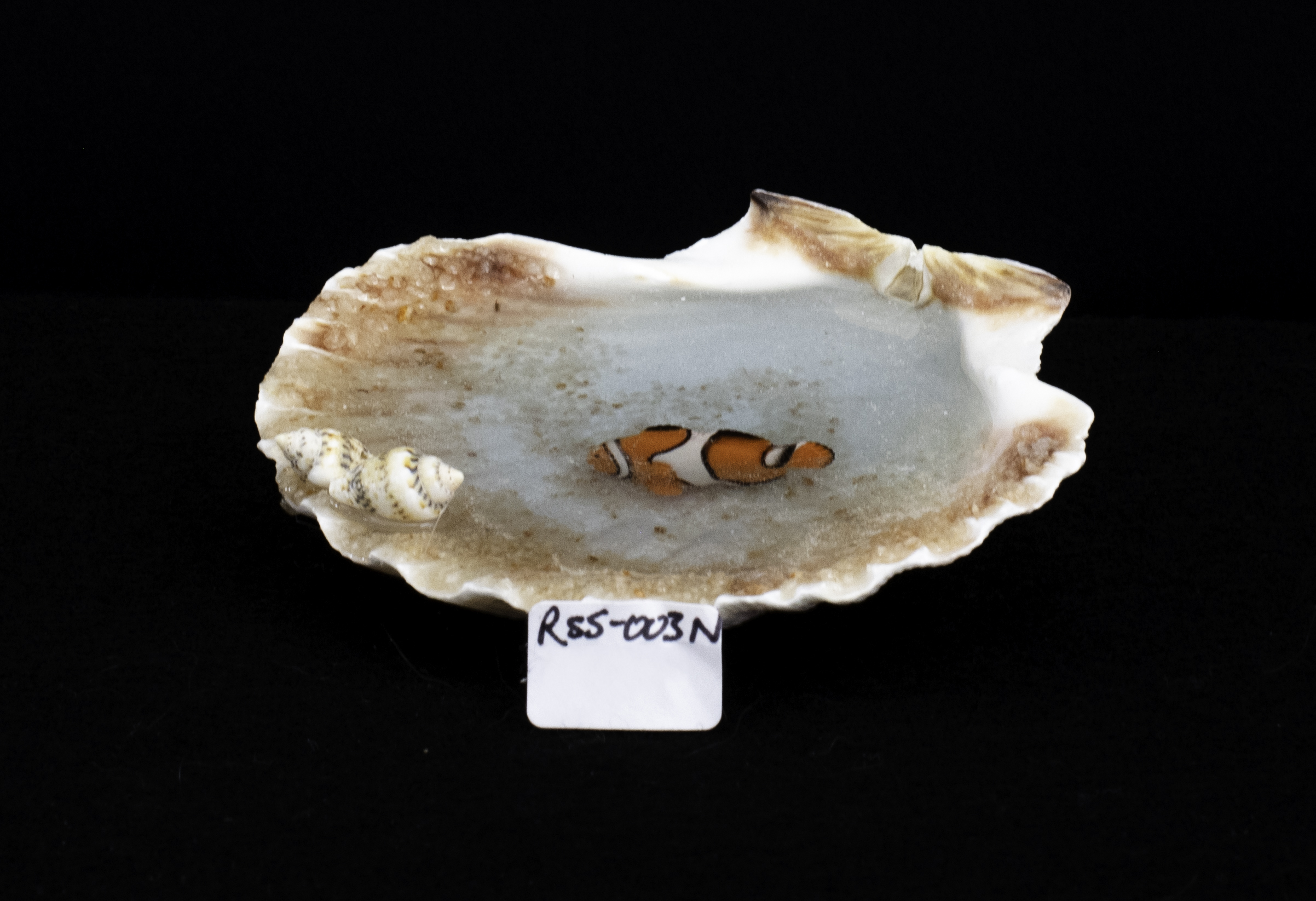 Finding the Clownfish