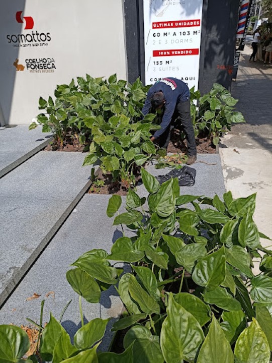 Curso Jardinagem descomplicada com a BioFlora Paisagismo