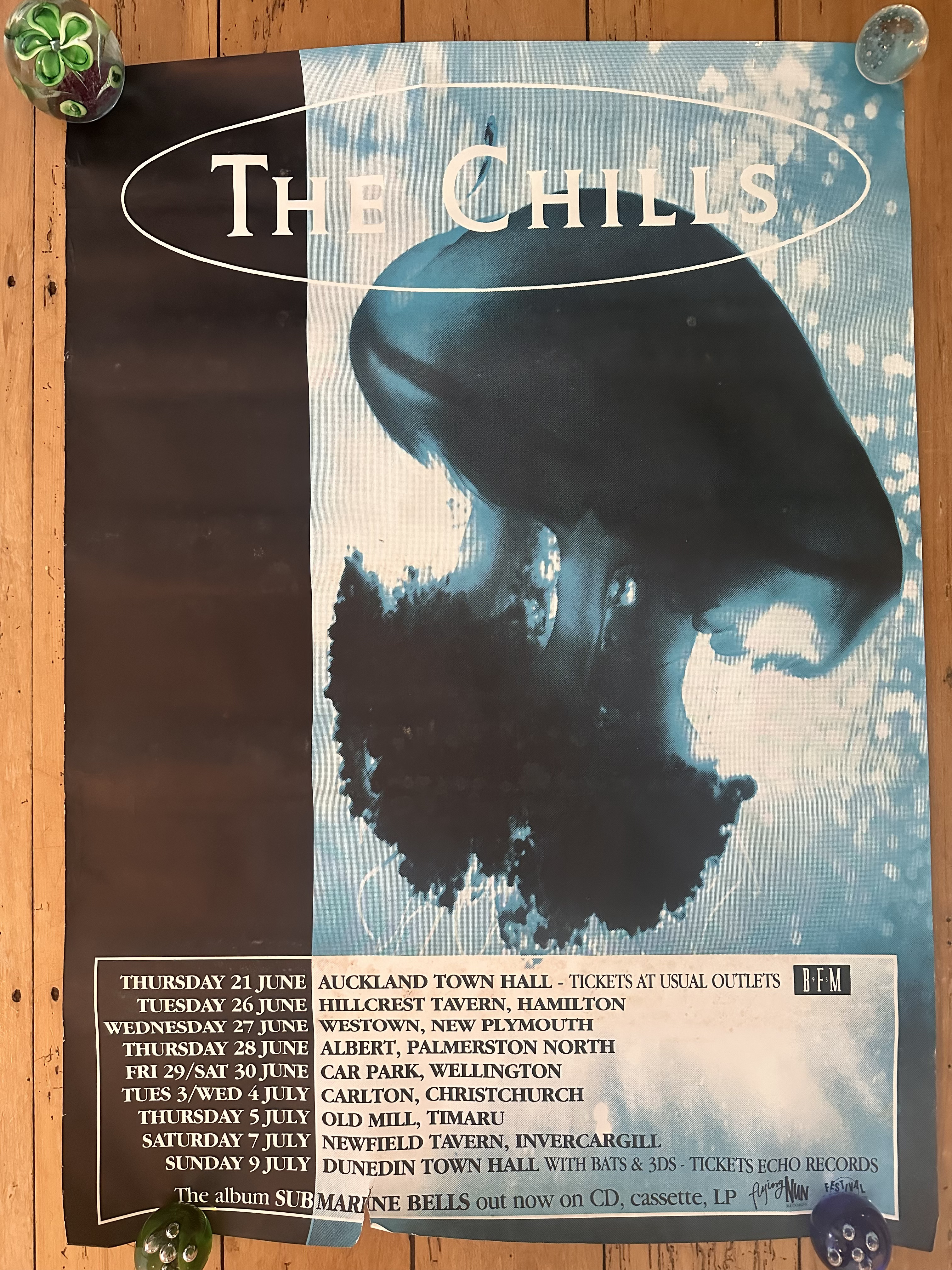 The Chills 1990