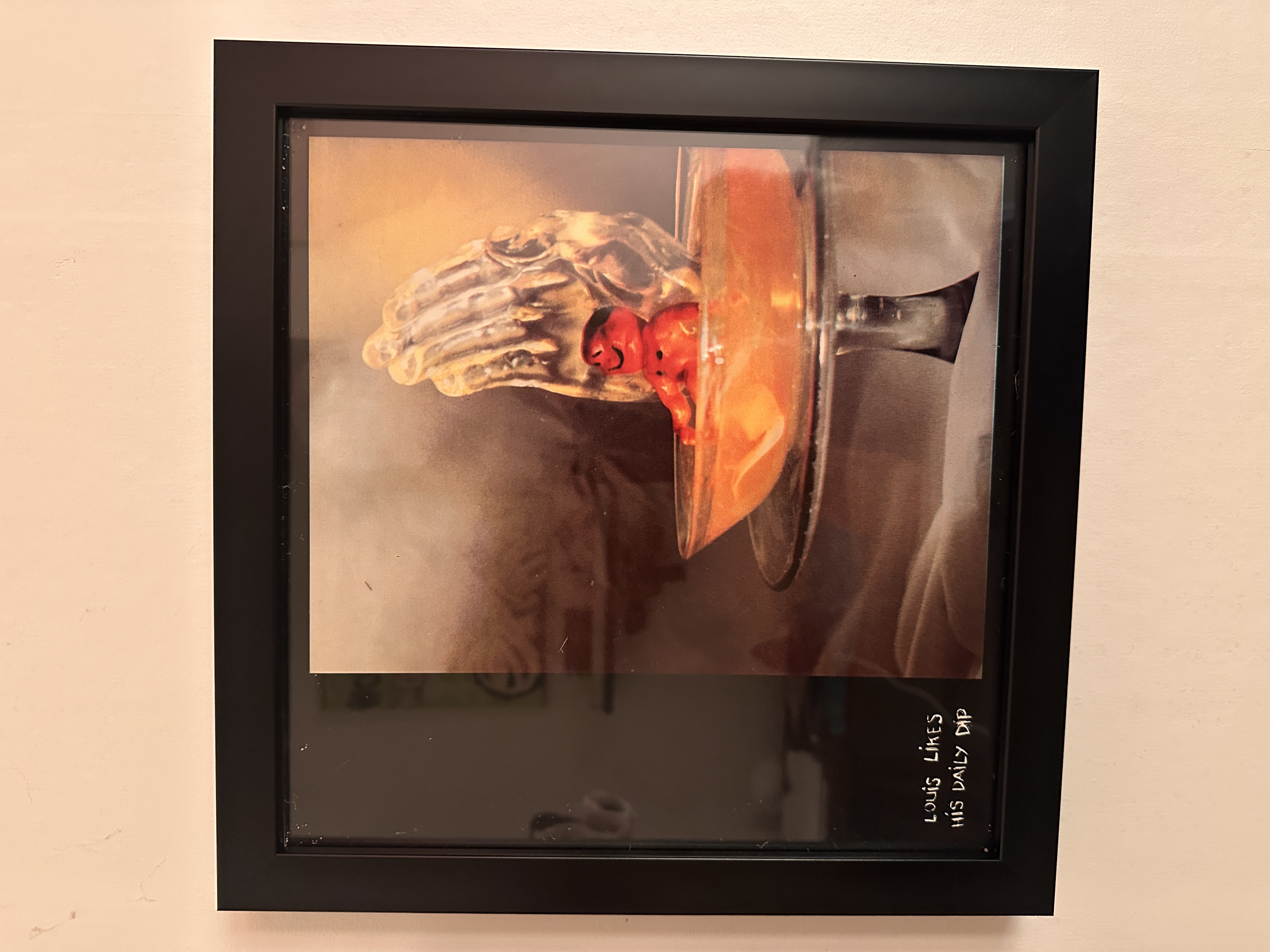 TALL DWARFS Framed Album Album Artwork 1982