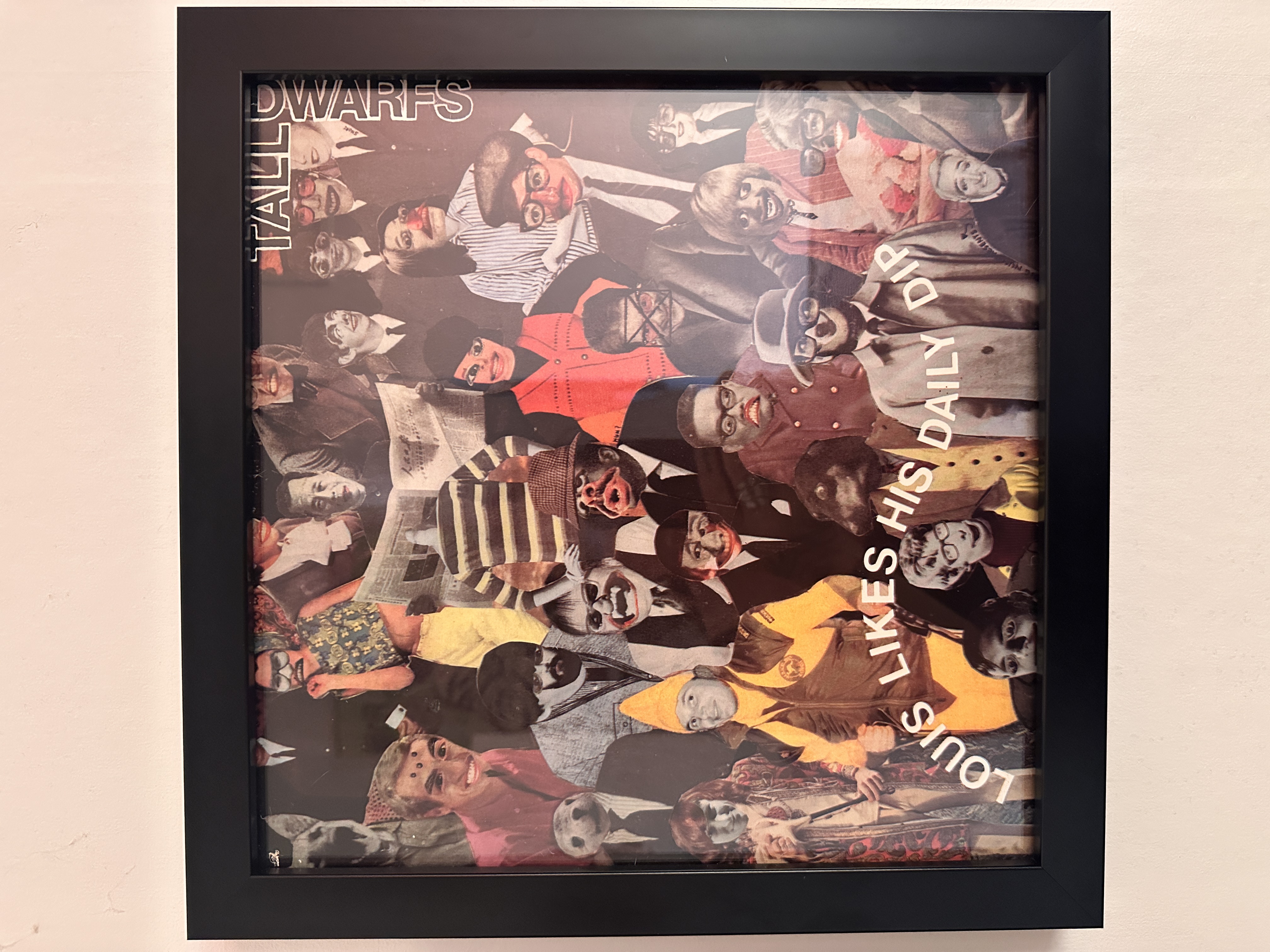 TALL DWARFS Framed Album Artwork  1982