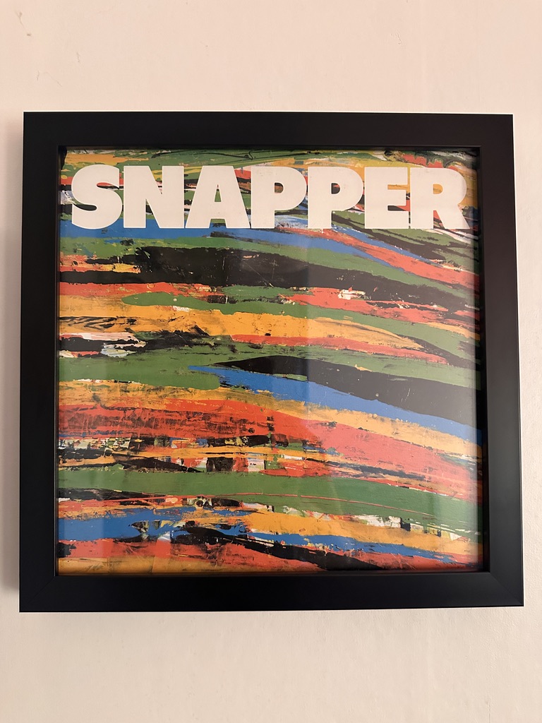 Snapper Glass Framed Album Cover 1989
