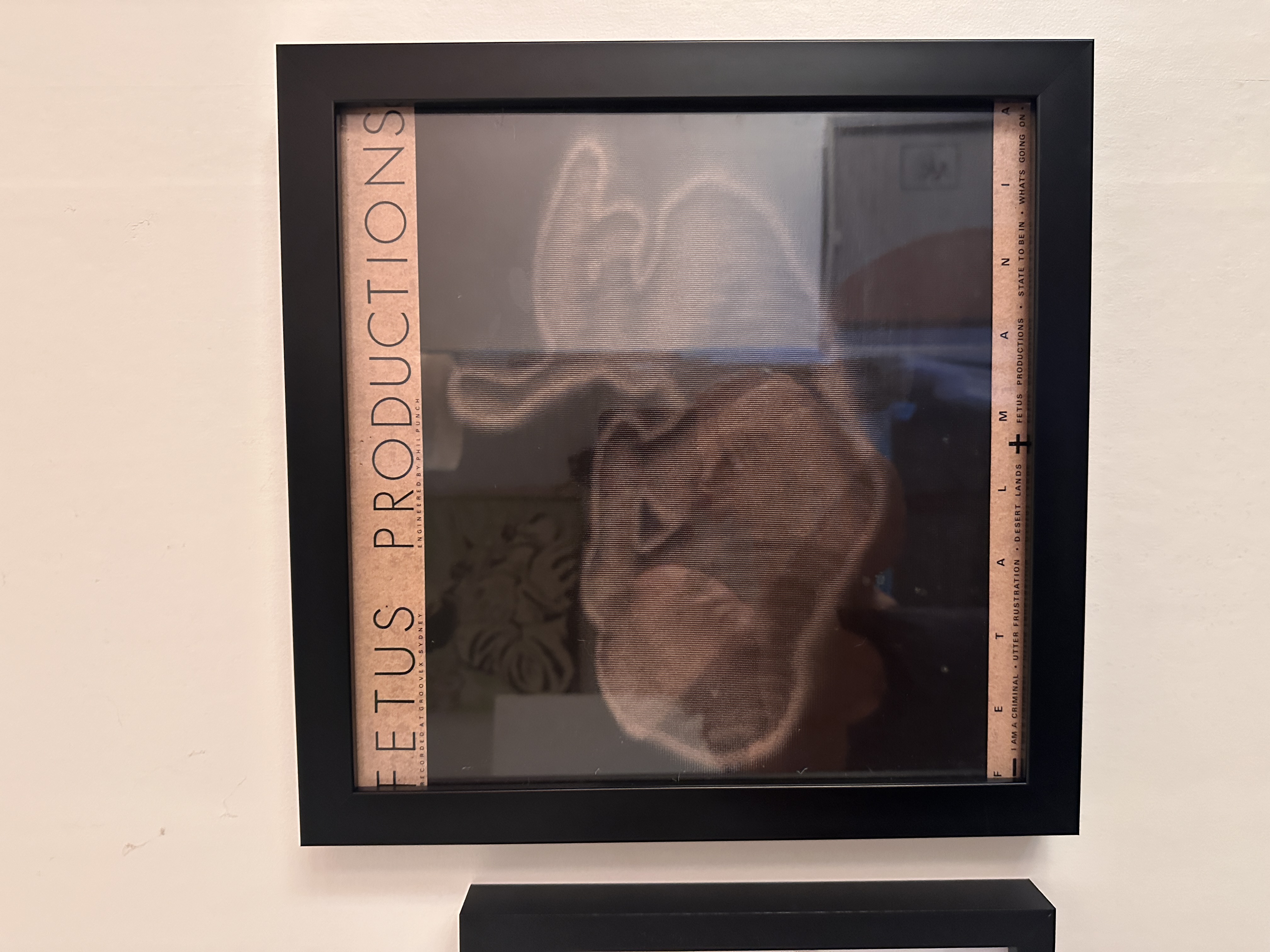 Fetus Productions - Fetalmania (1983) Framed Album Artwork