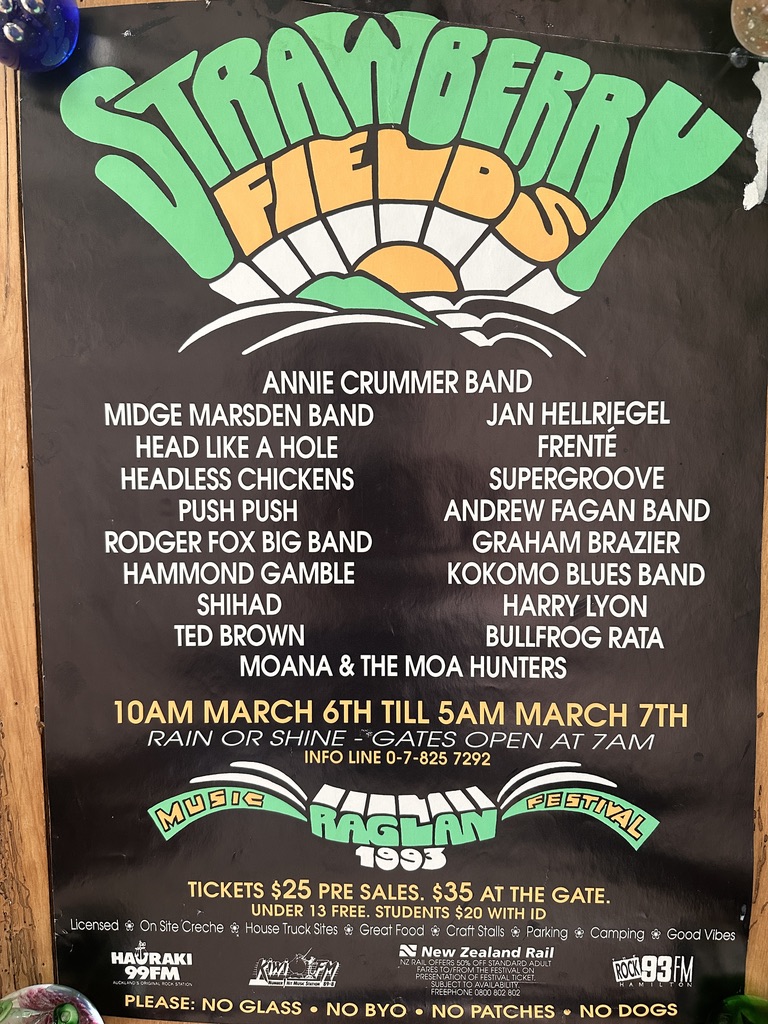Strawberry Fields Music Festival Poster 1993