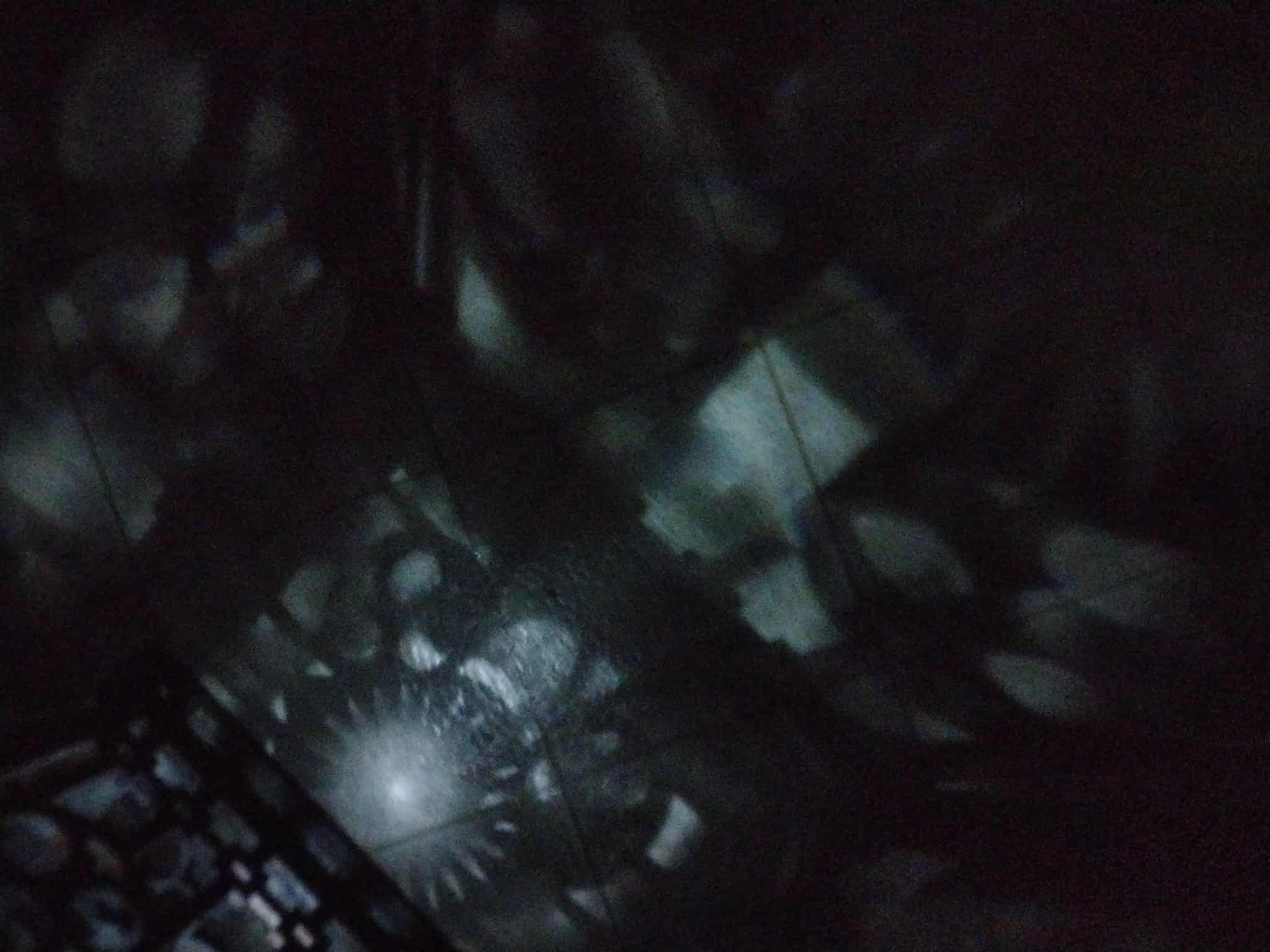 Solar Skeleton Sidewalk Lantern(s)