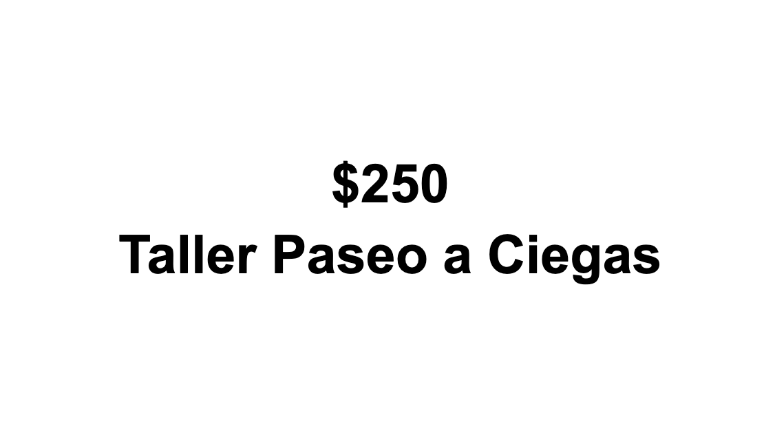 Taller Paseo A Ciegas