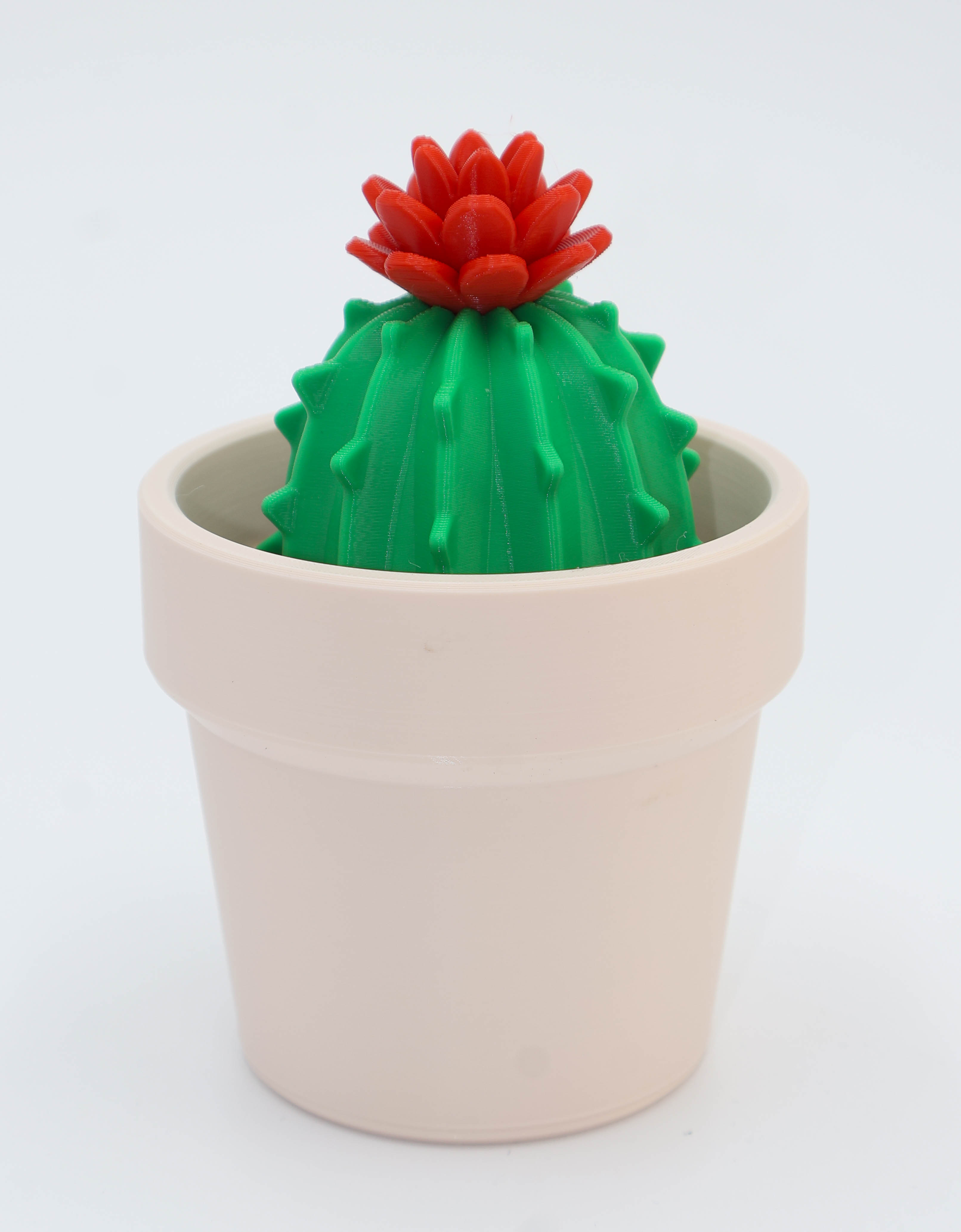 Maceta Decorativa con Cactus