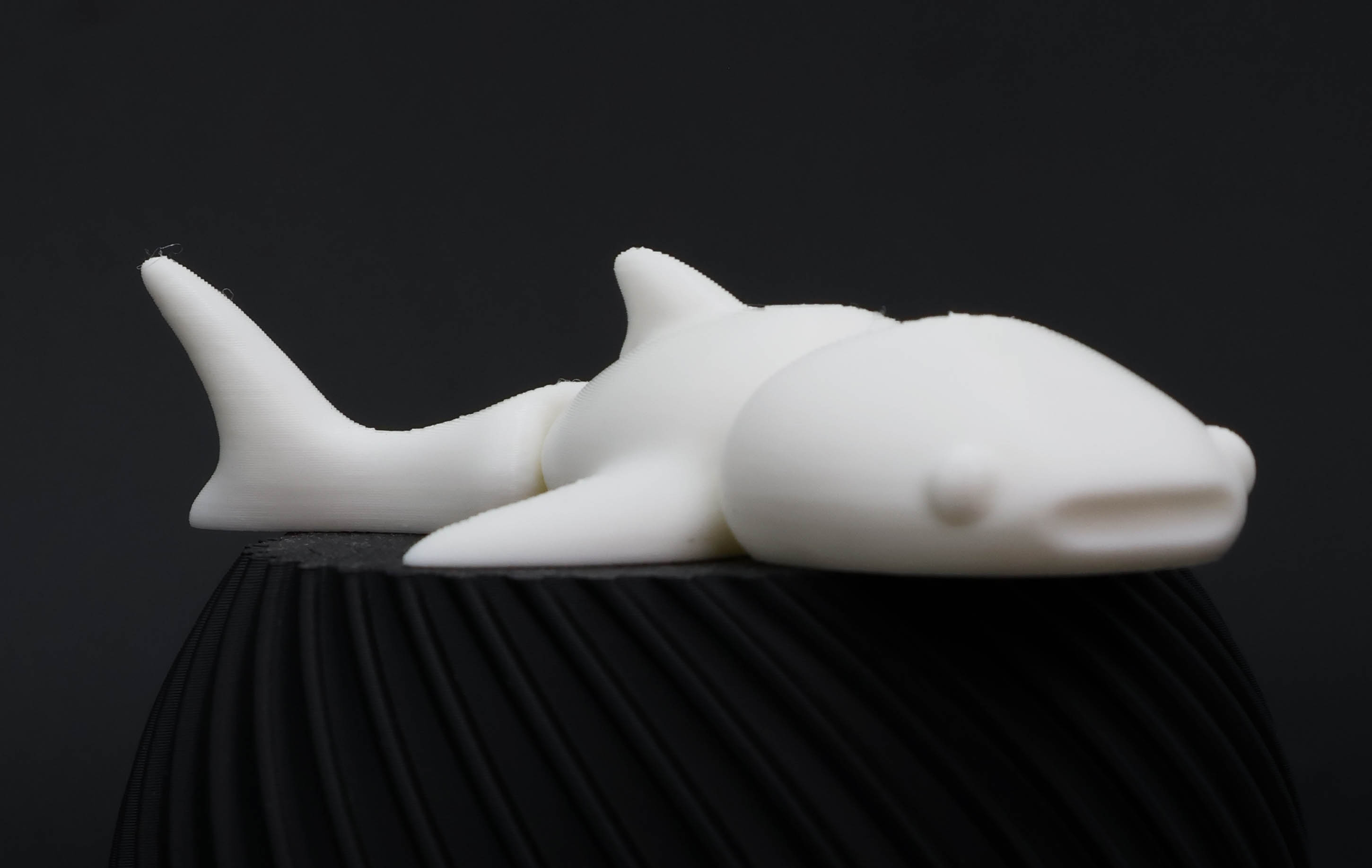 Tiburón Ballena Cute