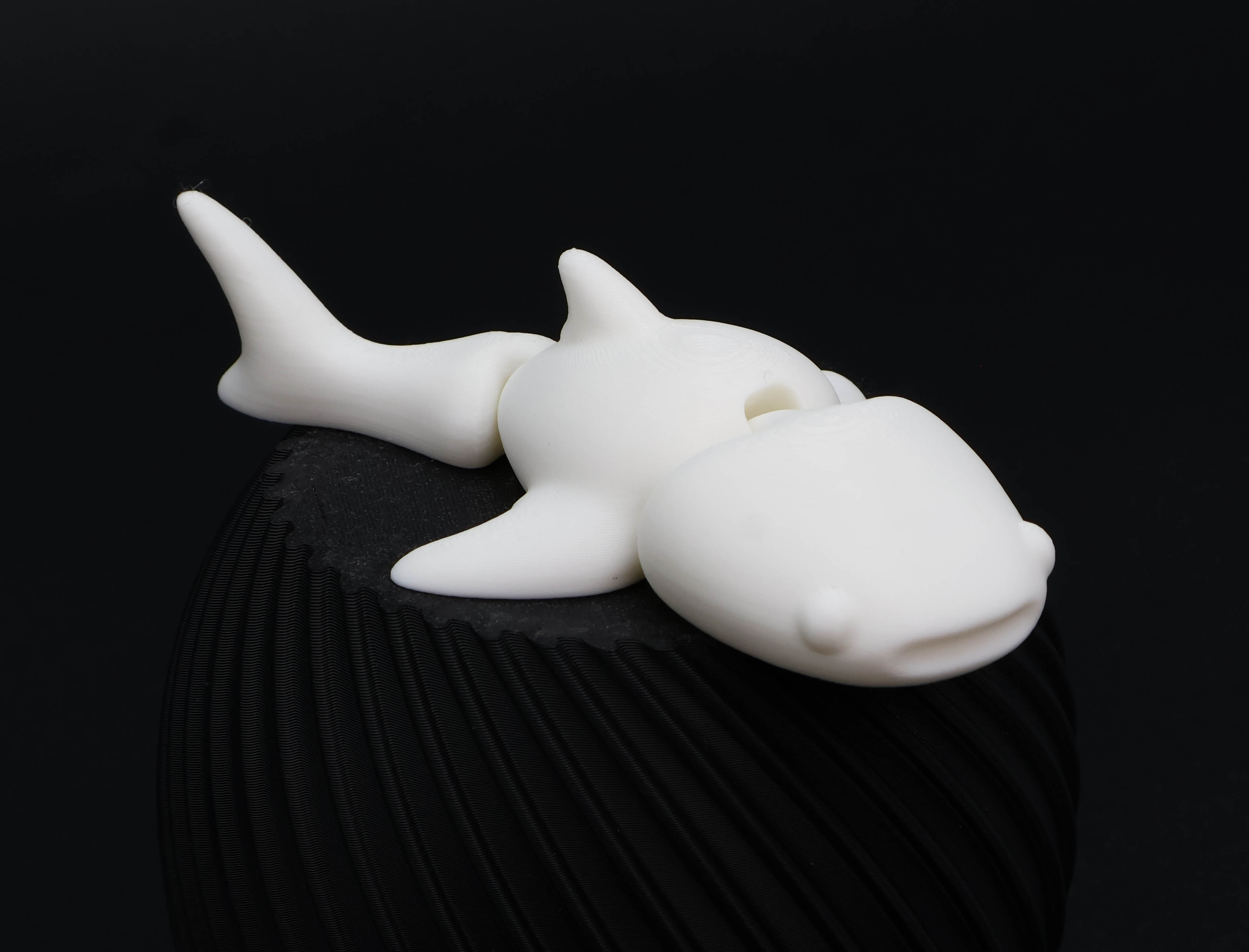 Tiburón Ballena Cute