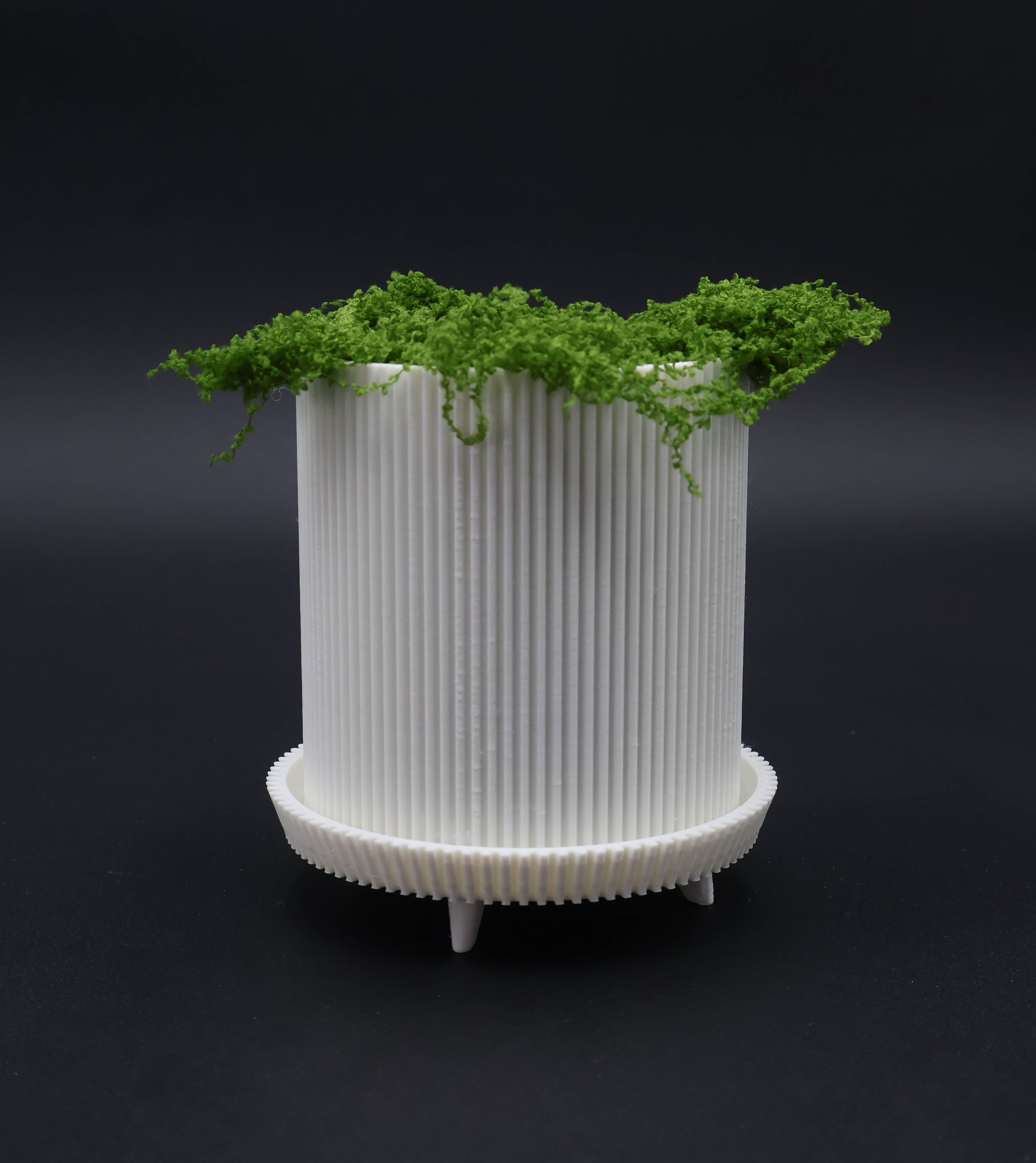 Maceta Moderna con Estilo