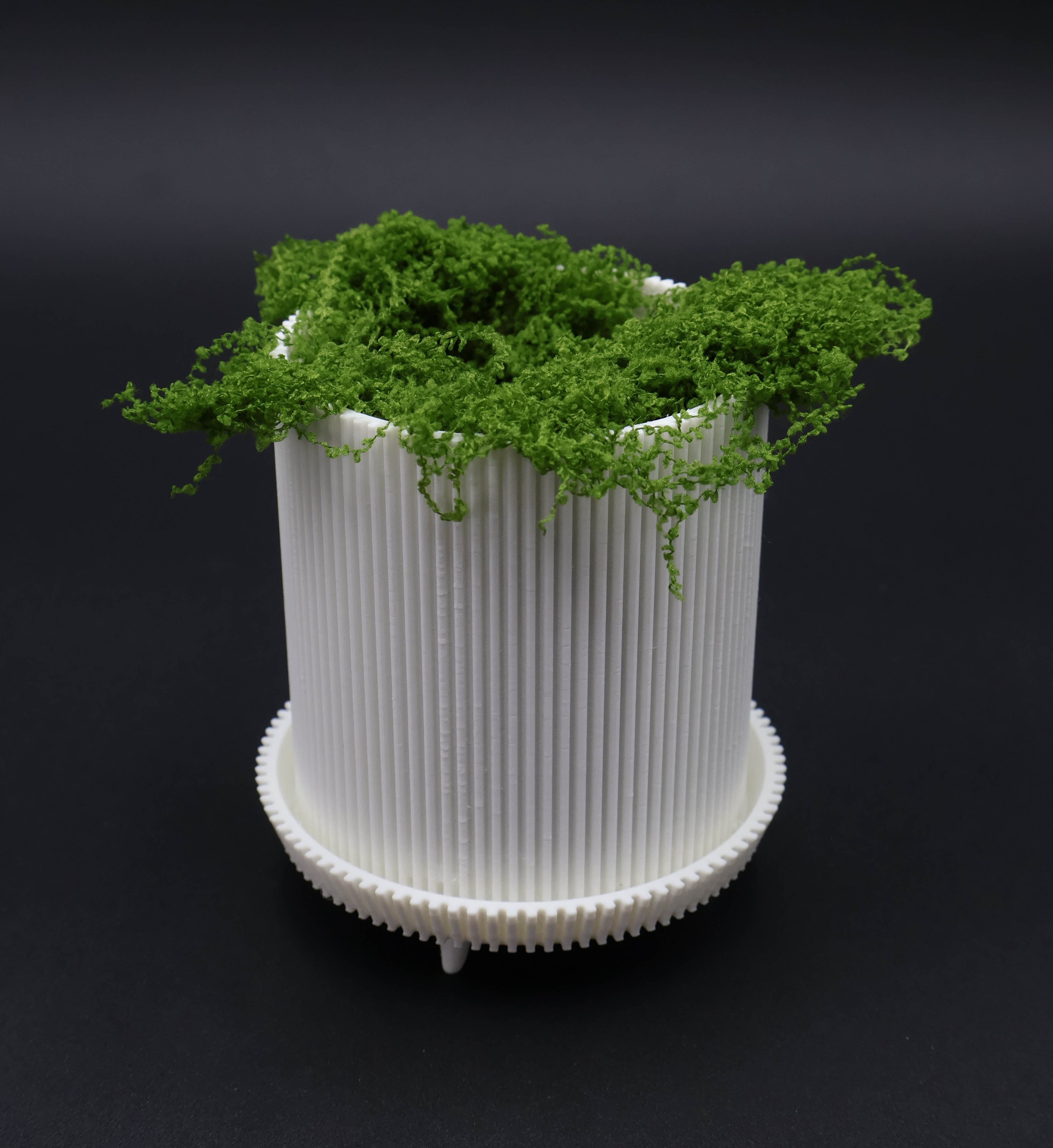 Maceta Moderna con Estilo