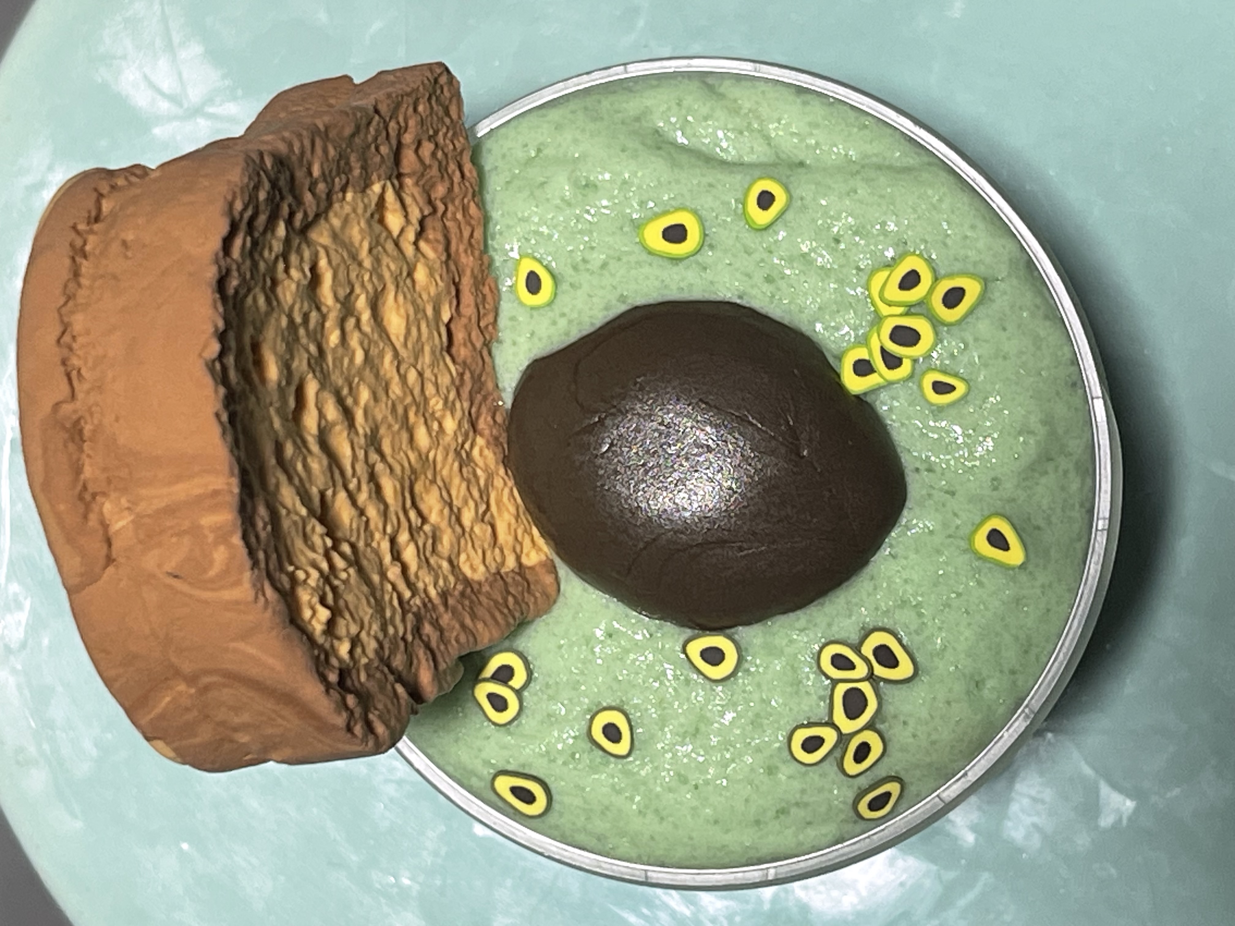 Skye's avocado toast butter slime.