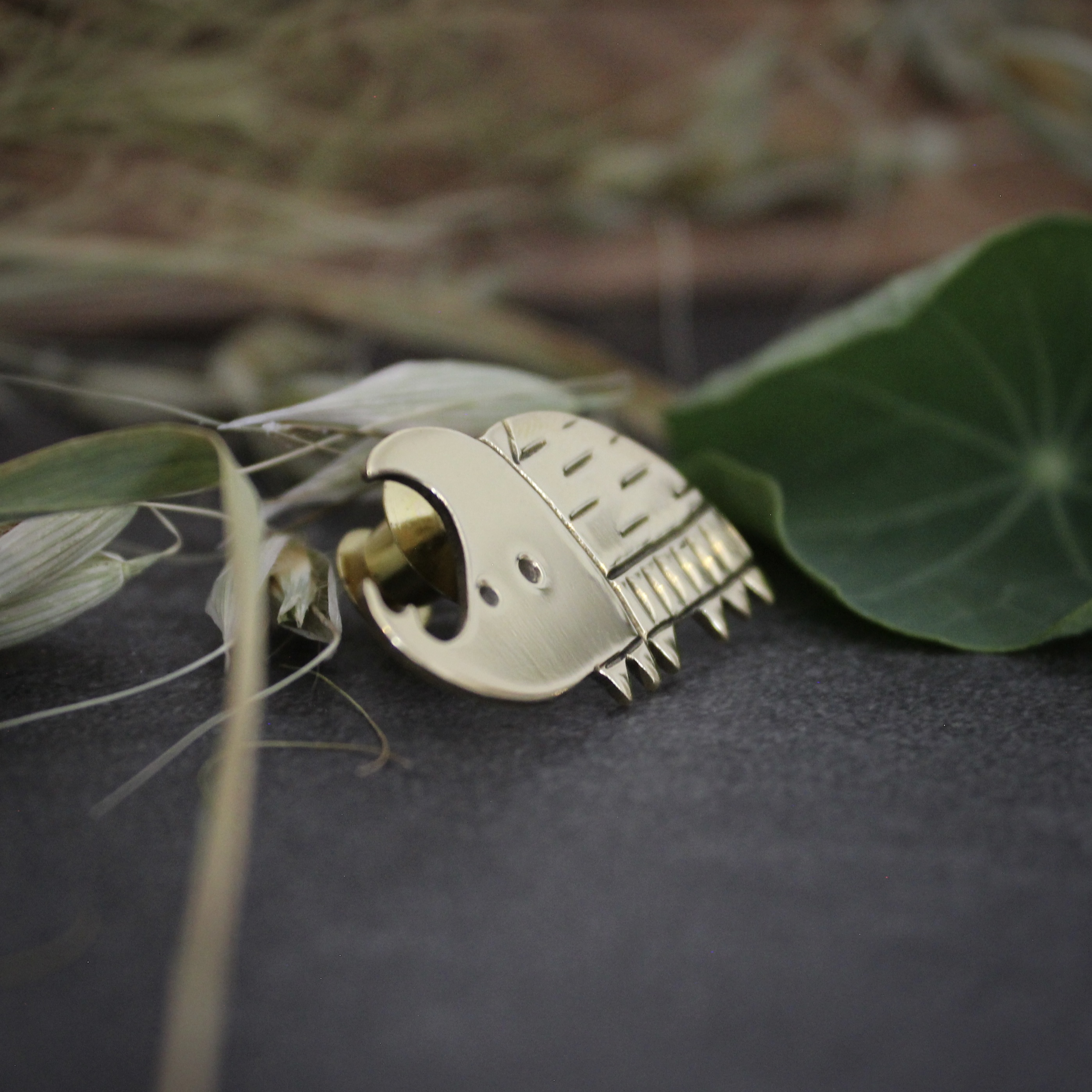 Pin's - Le Scarabée - Collection Faune