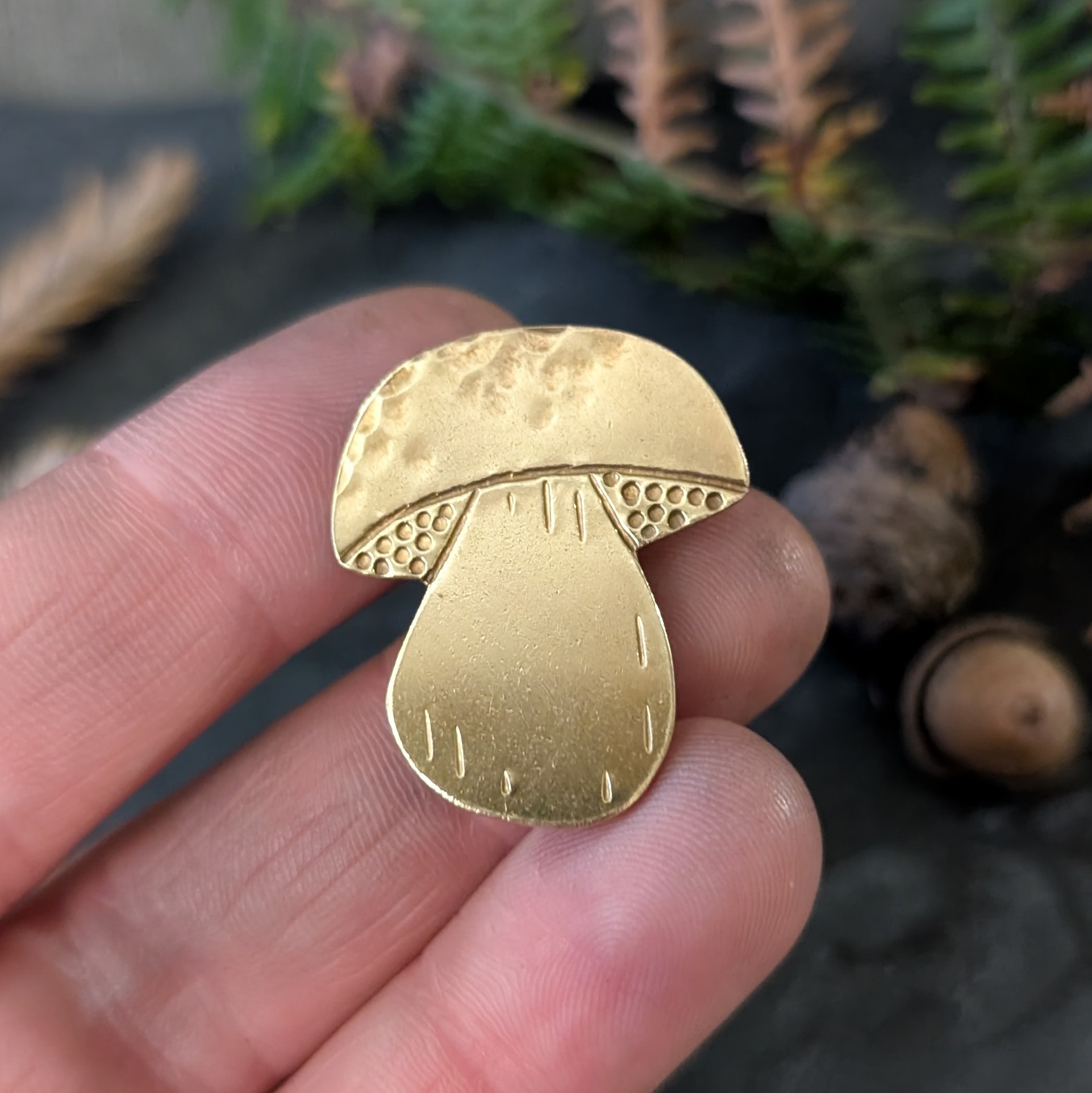 Pin's - Le Cèpe - Collection Cueillette