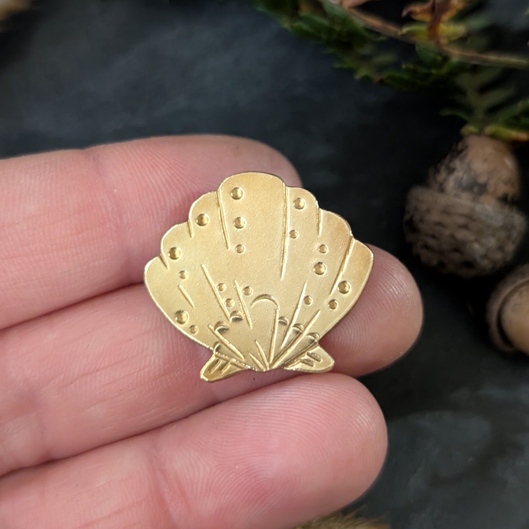 Pin's - Le Coquillage - Collection Cueillette