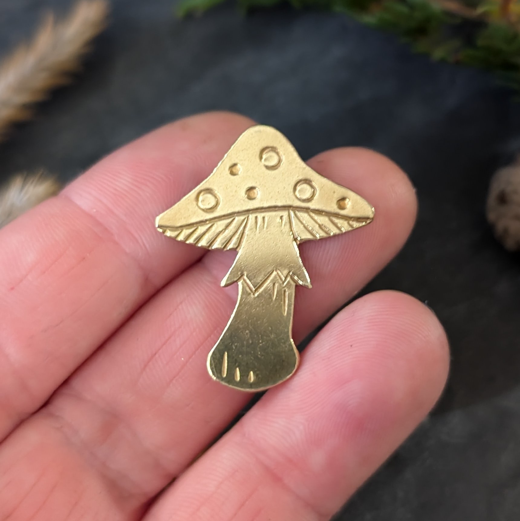 Pin's - L'Amanite - Collection Cueillette