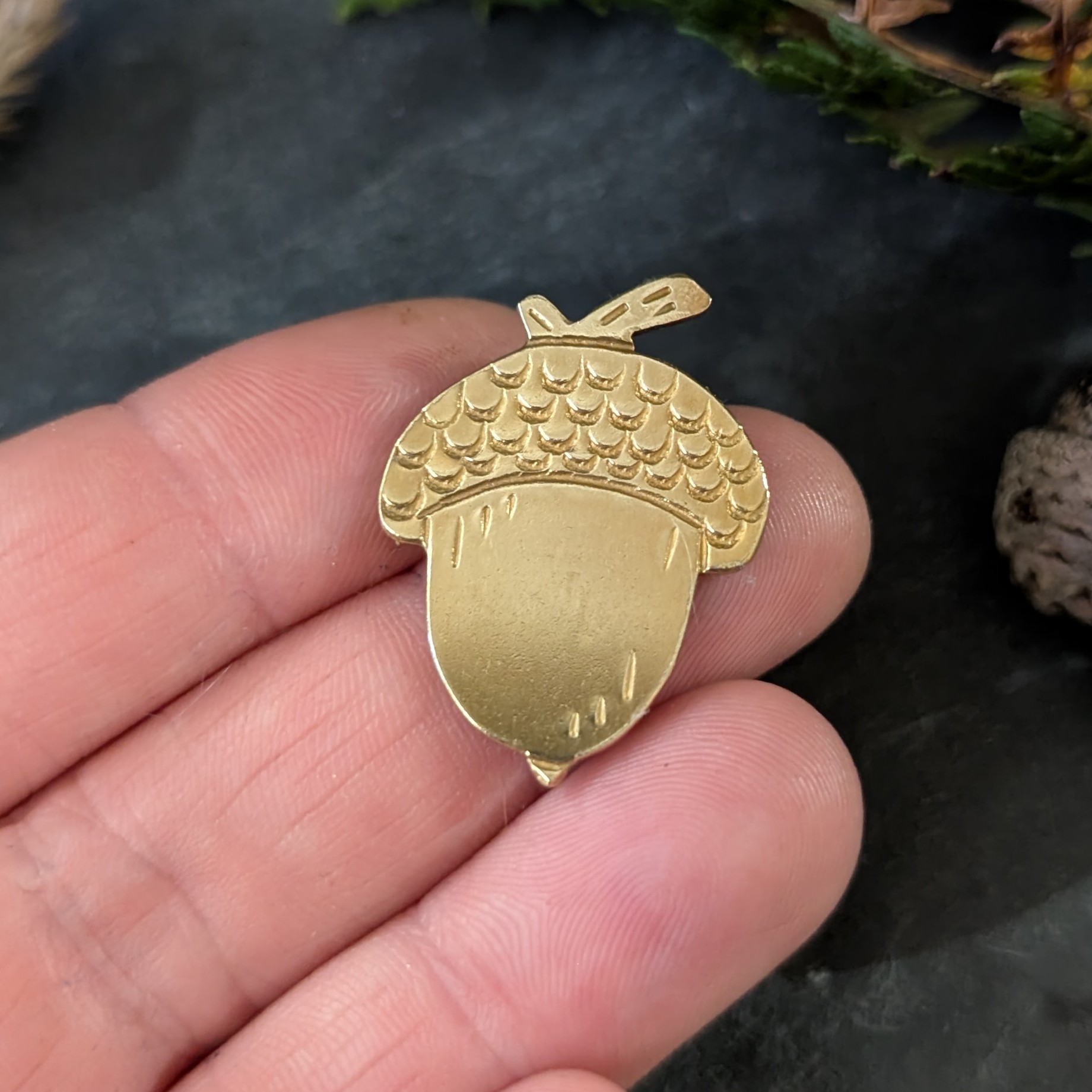 Pin's - Le Gland - Collection Cueillette