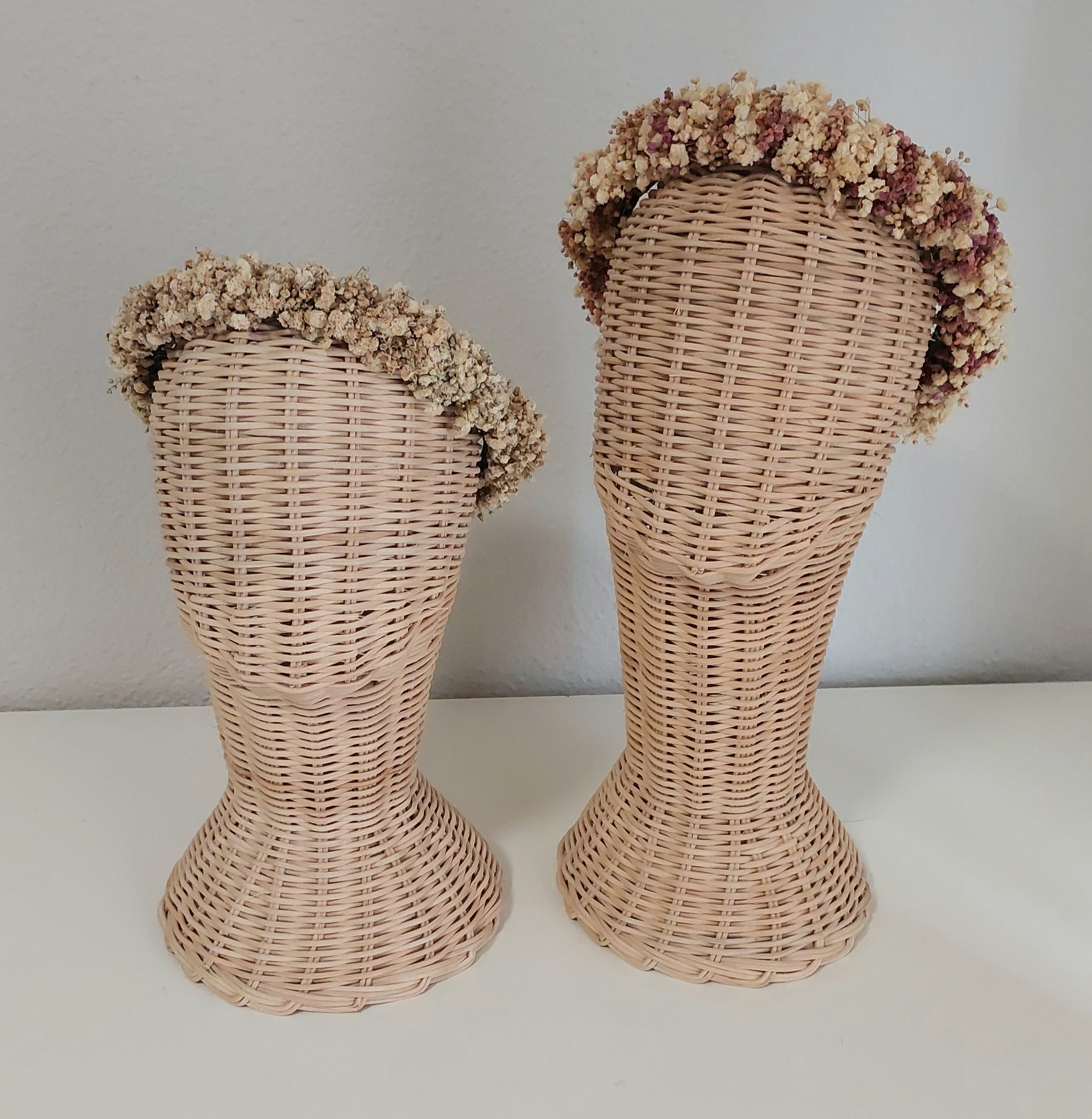 Corona Paniculata preservada niña