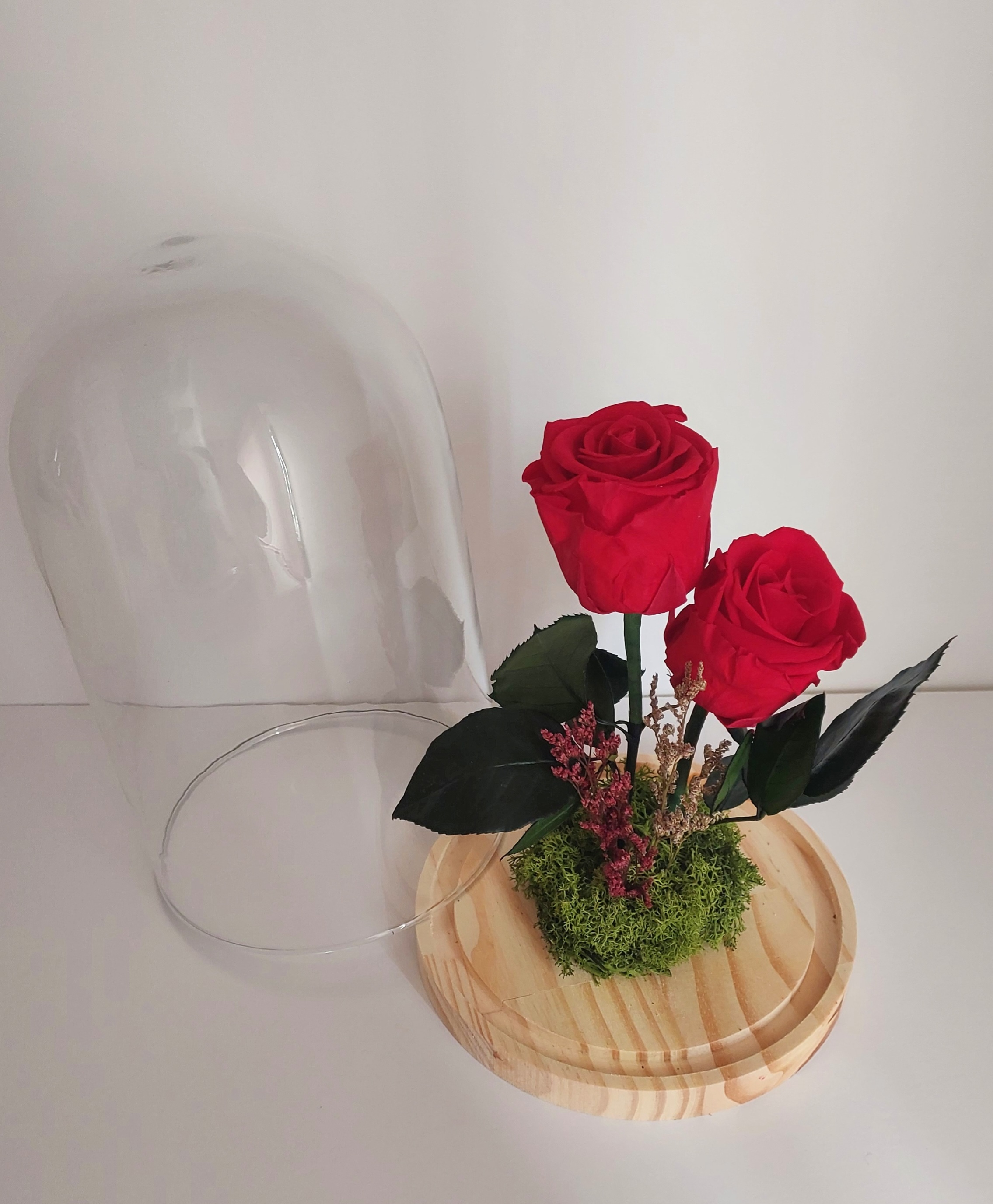 Cúpula 2 rosas eternas