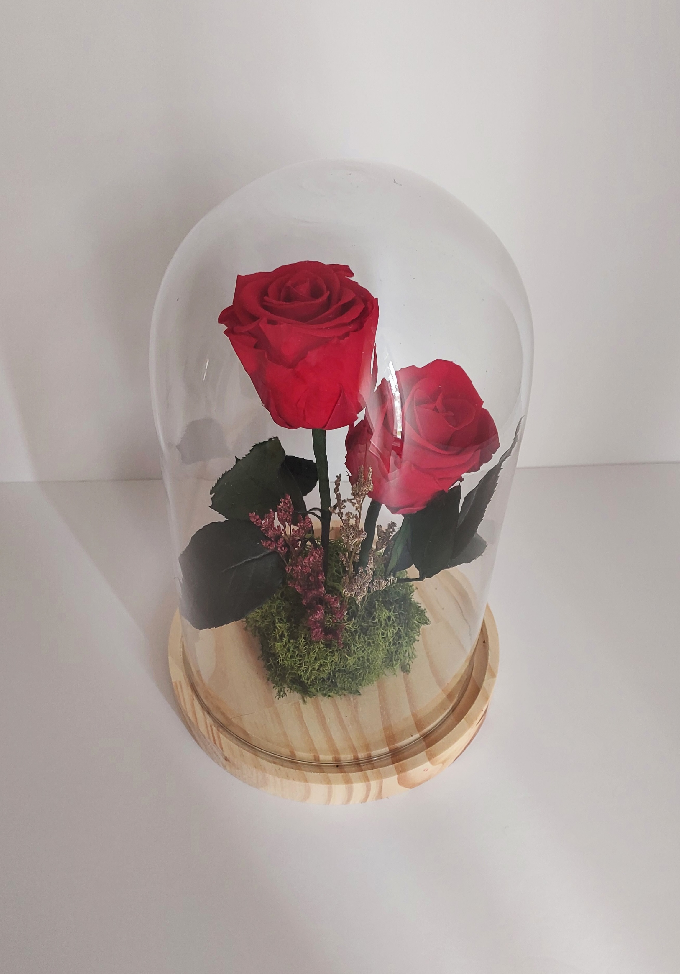 Cúpula 2 rosas eternas