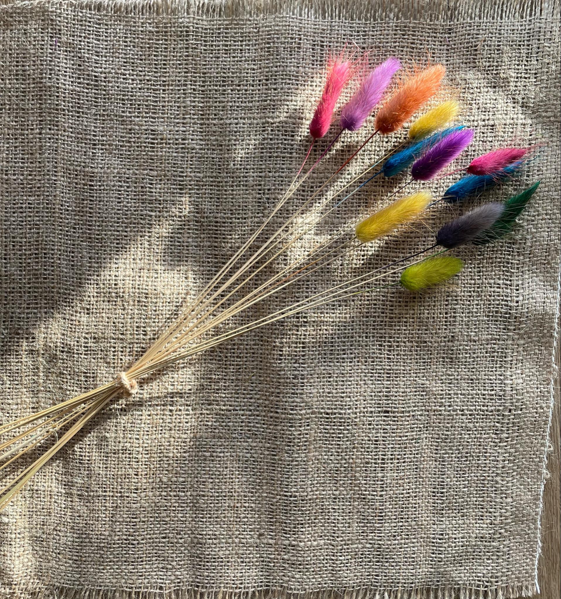 Dried Grasses