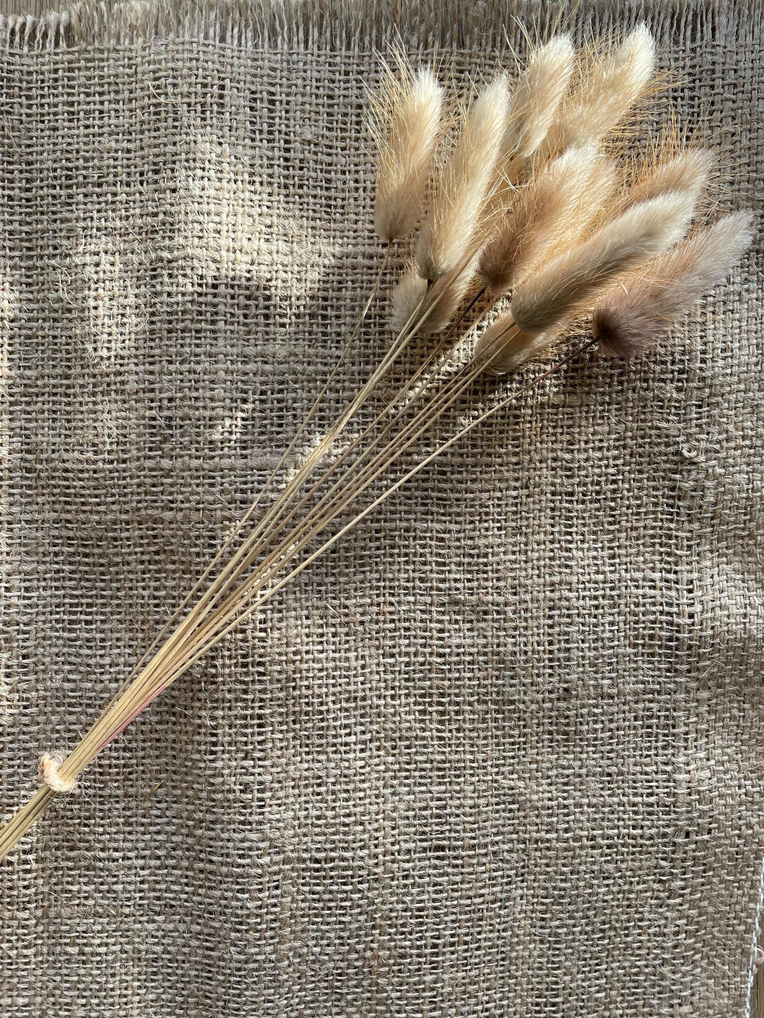 Dried Grasses