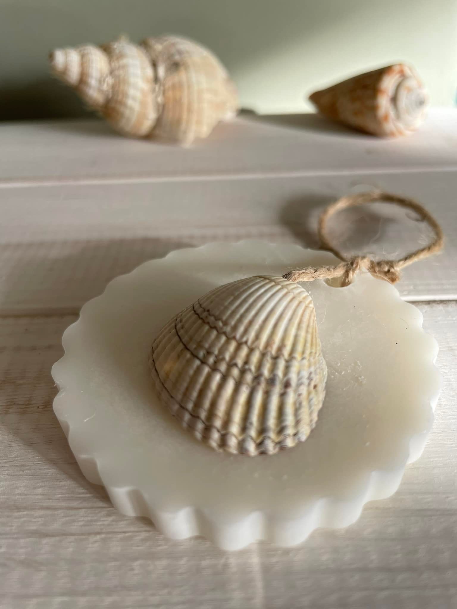 Atlantic Surf Wax Melt
