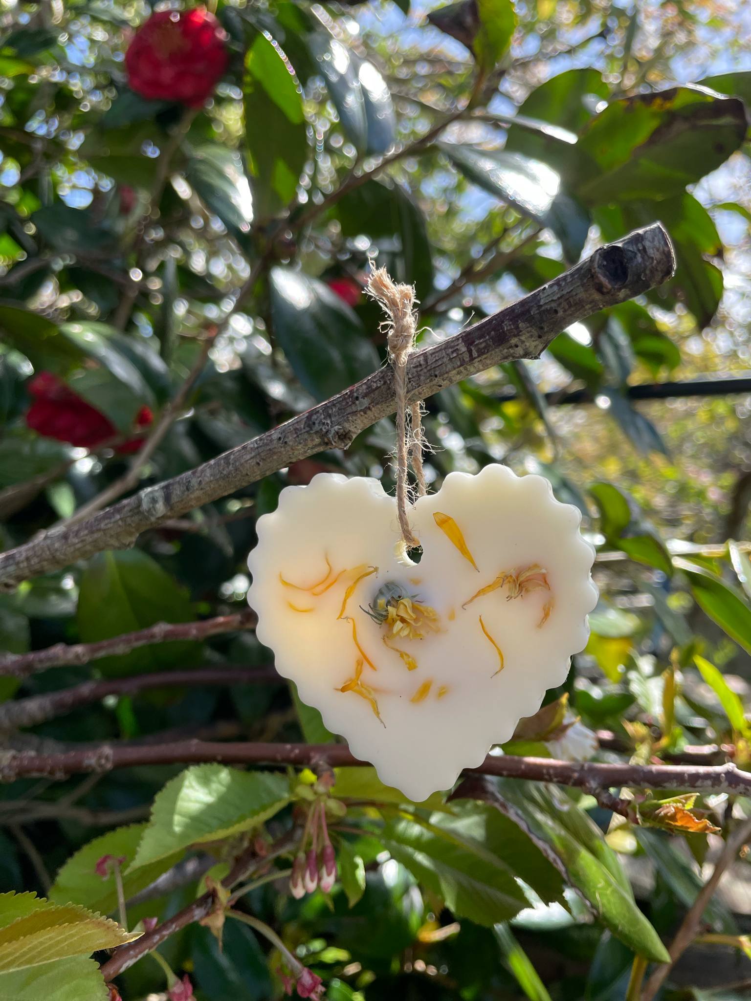 Sweet Sunshine Wax Melt