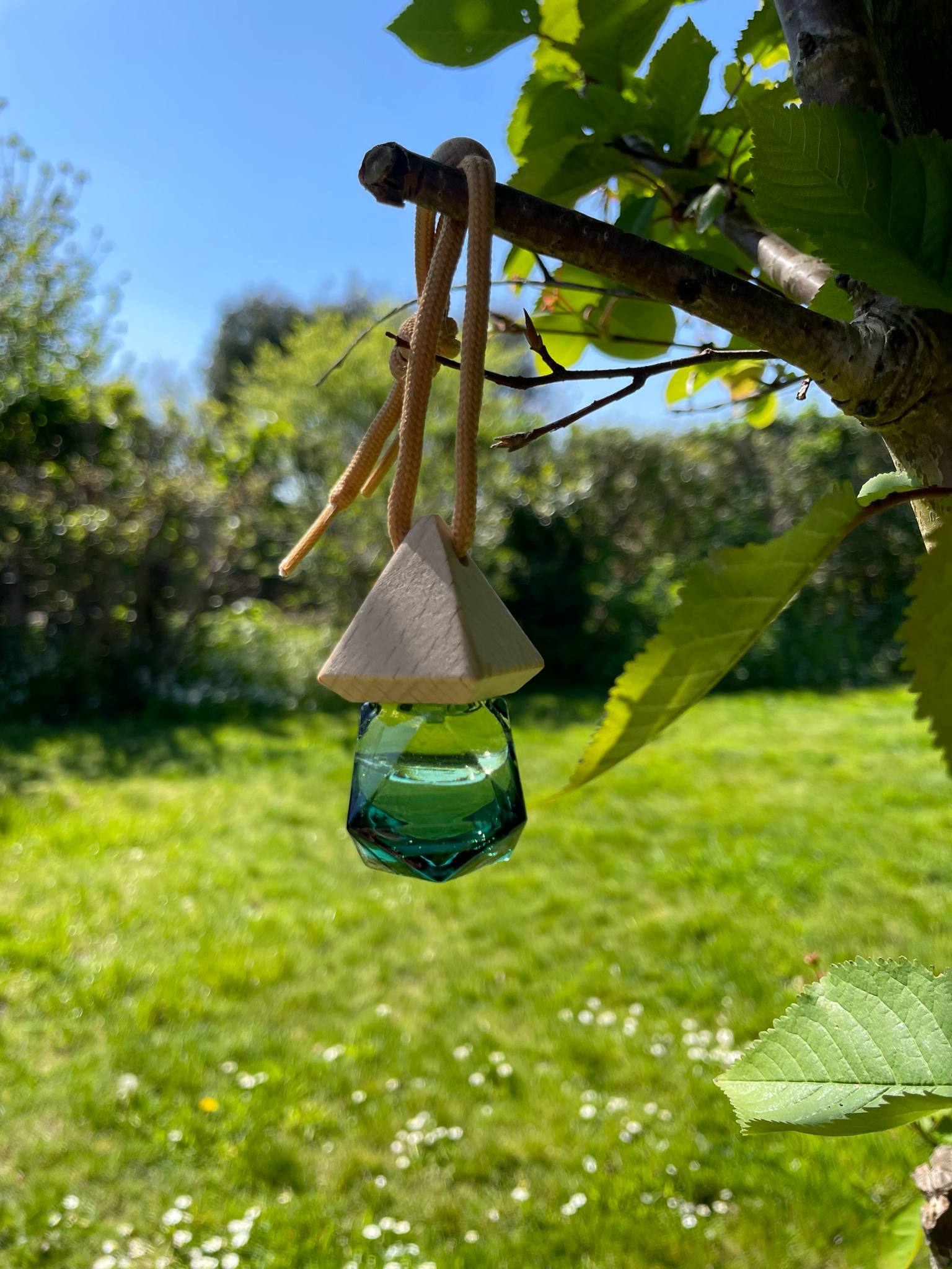 Car Fresheners 