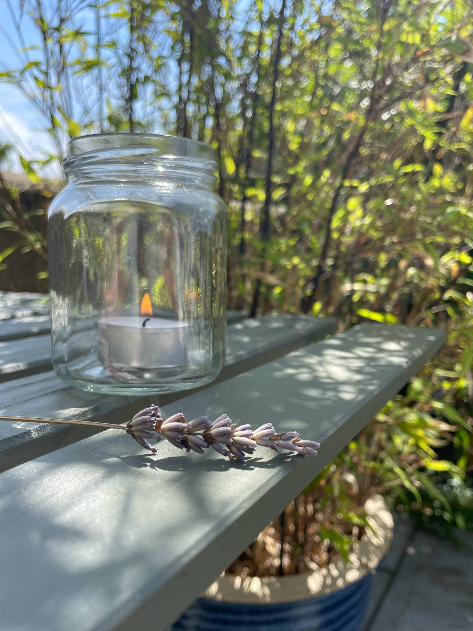 Shoo Fly Aromatherapy Tea Lights