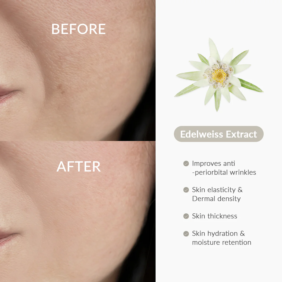 Dr.Althea Rapid Firm Sculpting Cream 45ml