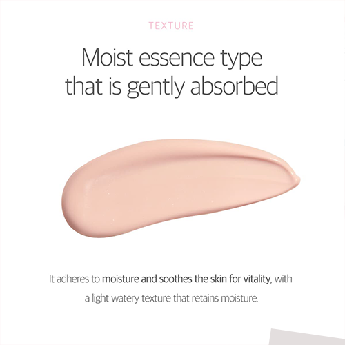 Round Lab Birch Moisture Tone-Up Sunscreen SPF50+ 50ml