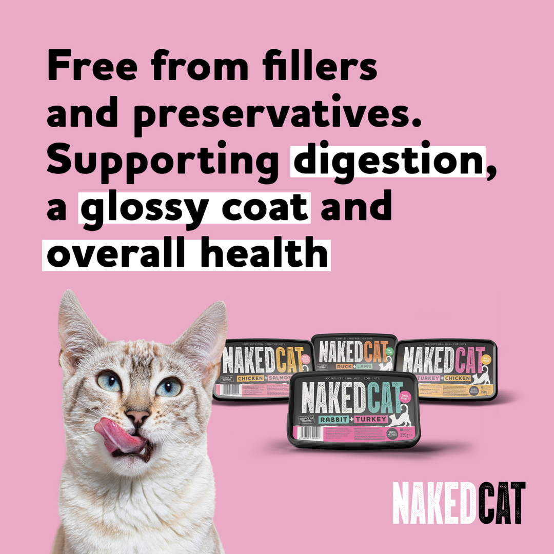 Naked Cat Complete Chicken & Salmon 250g