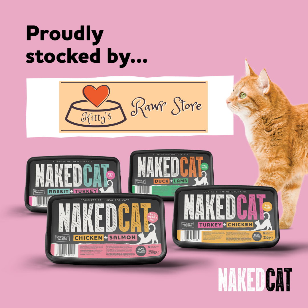 Naked Cat Complete Chicken & Salmon 250g