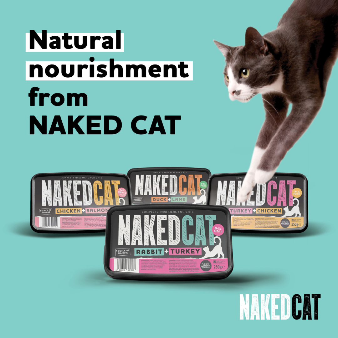 Naked Cat Complete Chicken & Salmon 250g