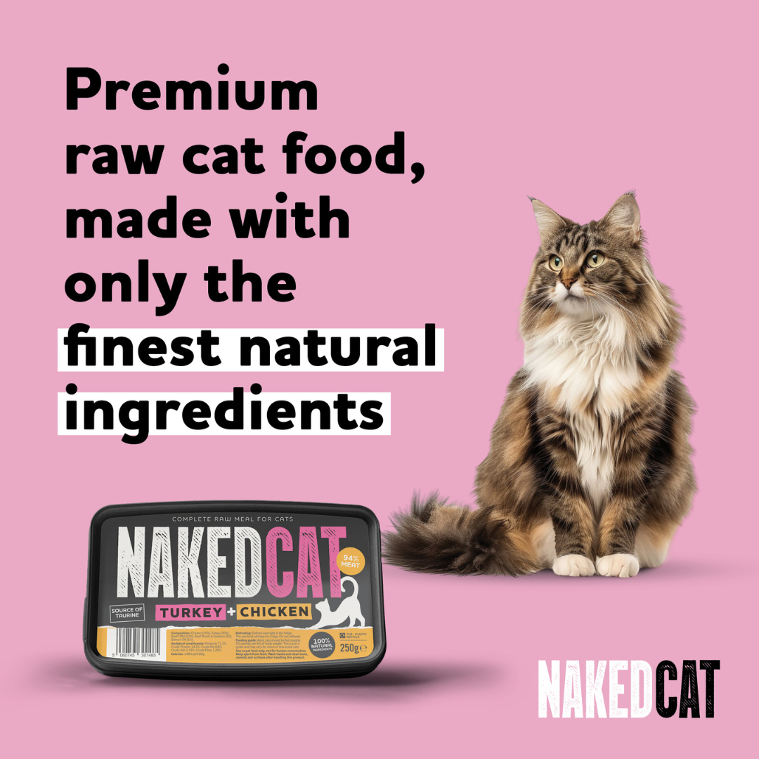 Naked Cat Complete Turkey & Chicken 250g