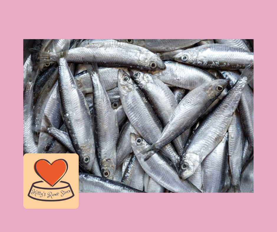 Naked Cat Sprats 300g