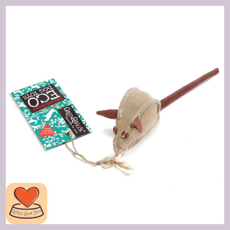 Mike the Mouse