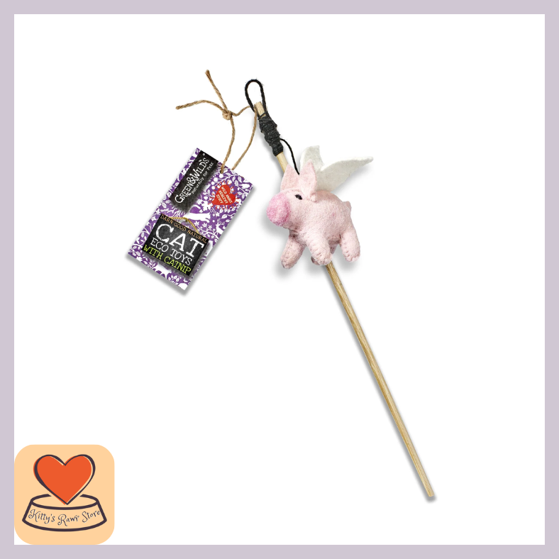 Piggie Sue Teaser