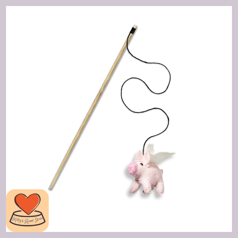 Piggie Sue Teaser