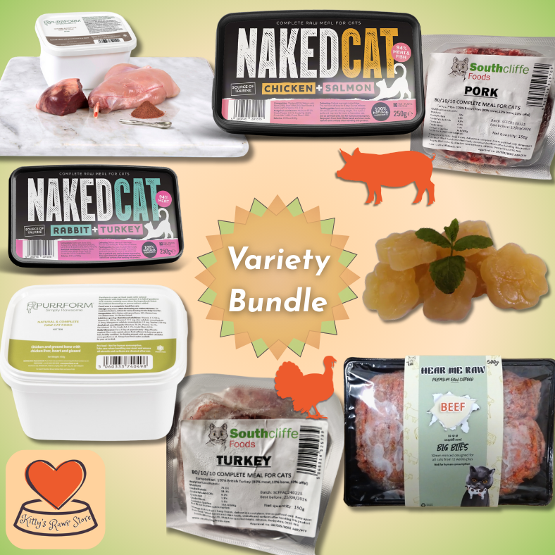 Variety Bundle + Tasty Treat!