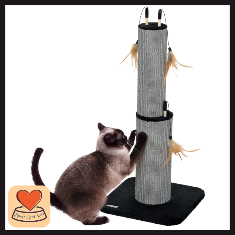 Fur-Tastic Cat Scratcher + Teasers