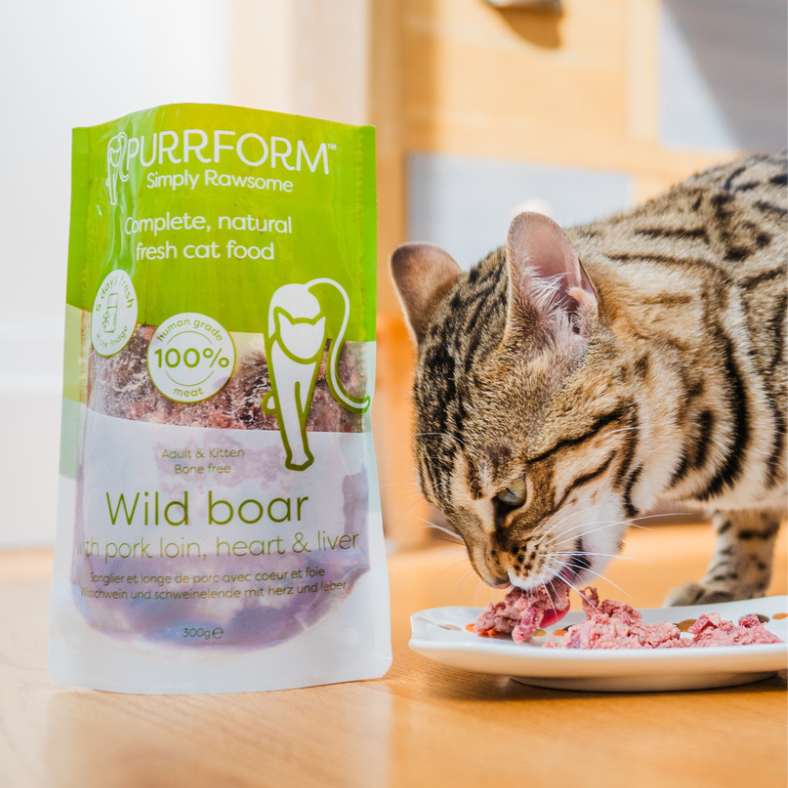 Purrform Complete Wild Boar 300g