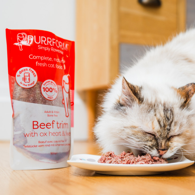 Purrform Complete Beef 300g