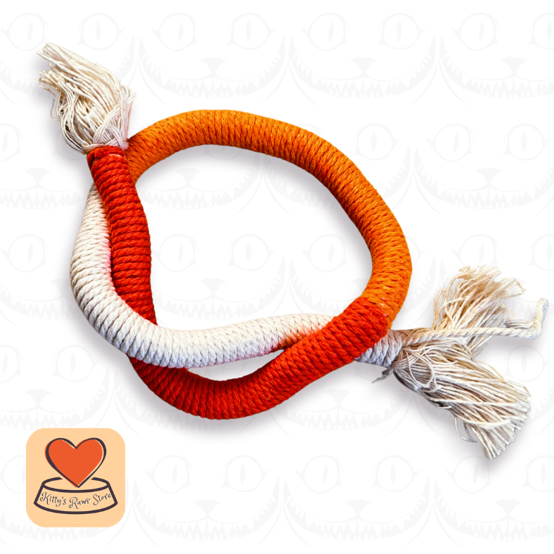 Crazy Cat Rope Toy