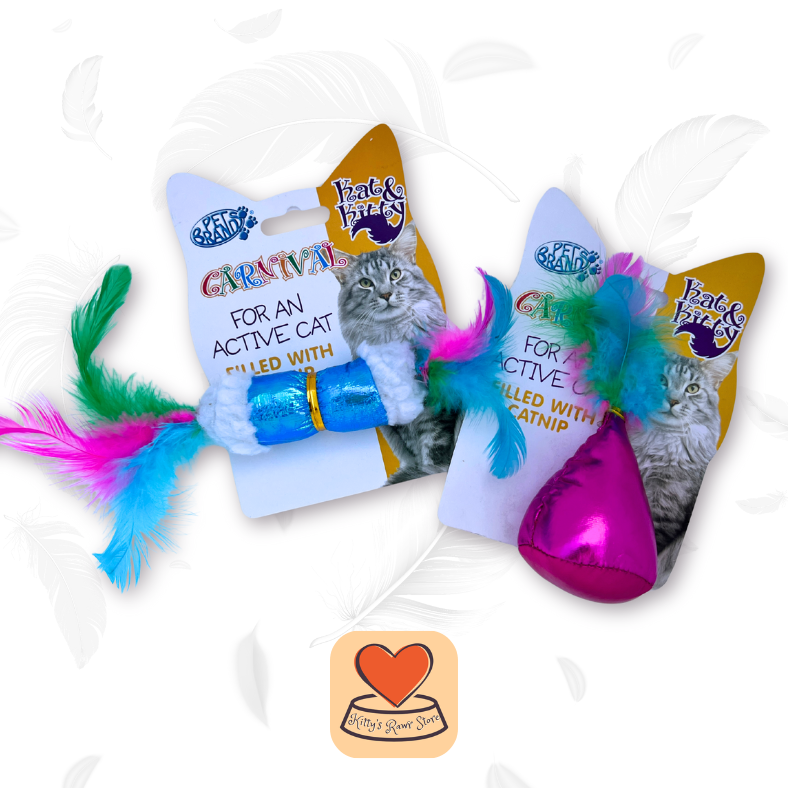 Carnival Feather Toy Duo